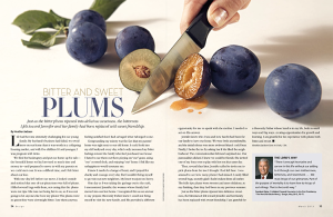 01-Plums_750