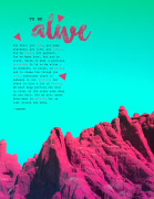 Zoe Esplin Tasteful Typography