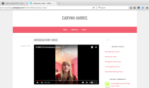 Intro Blog and Video Screenshot Example